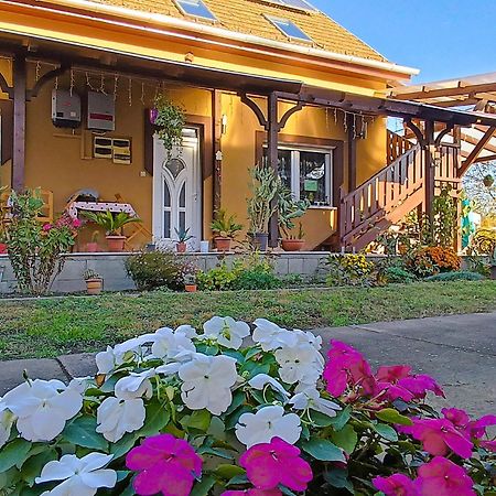 Hotel Holt-Tisza Vendeghaz Segedín Exteriér fotografie