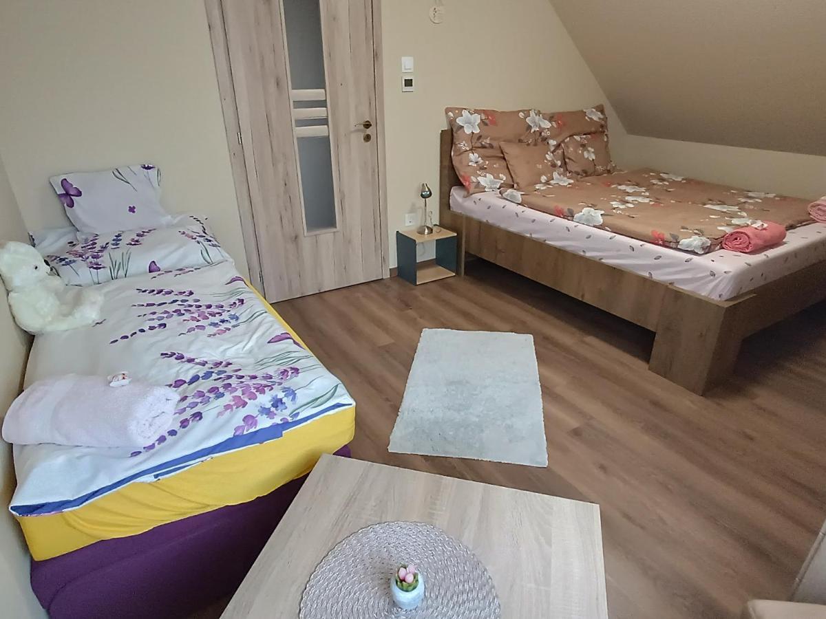 Hotel Holt-Tisza Vendeghaz Segedín Exteriér fotografie
