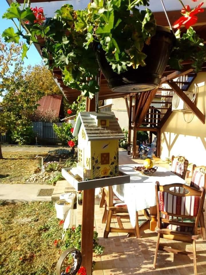 Hotel Holt-Tisza Vendeghaz Segedín Exteriér fotografie