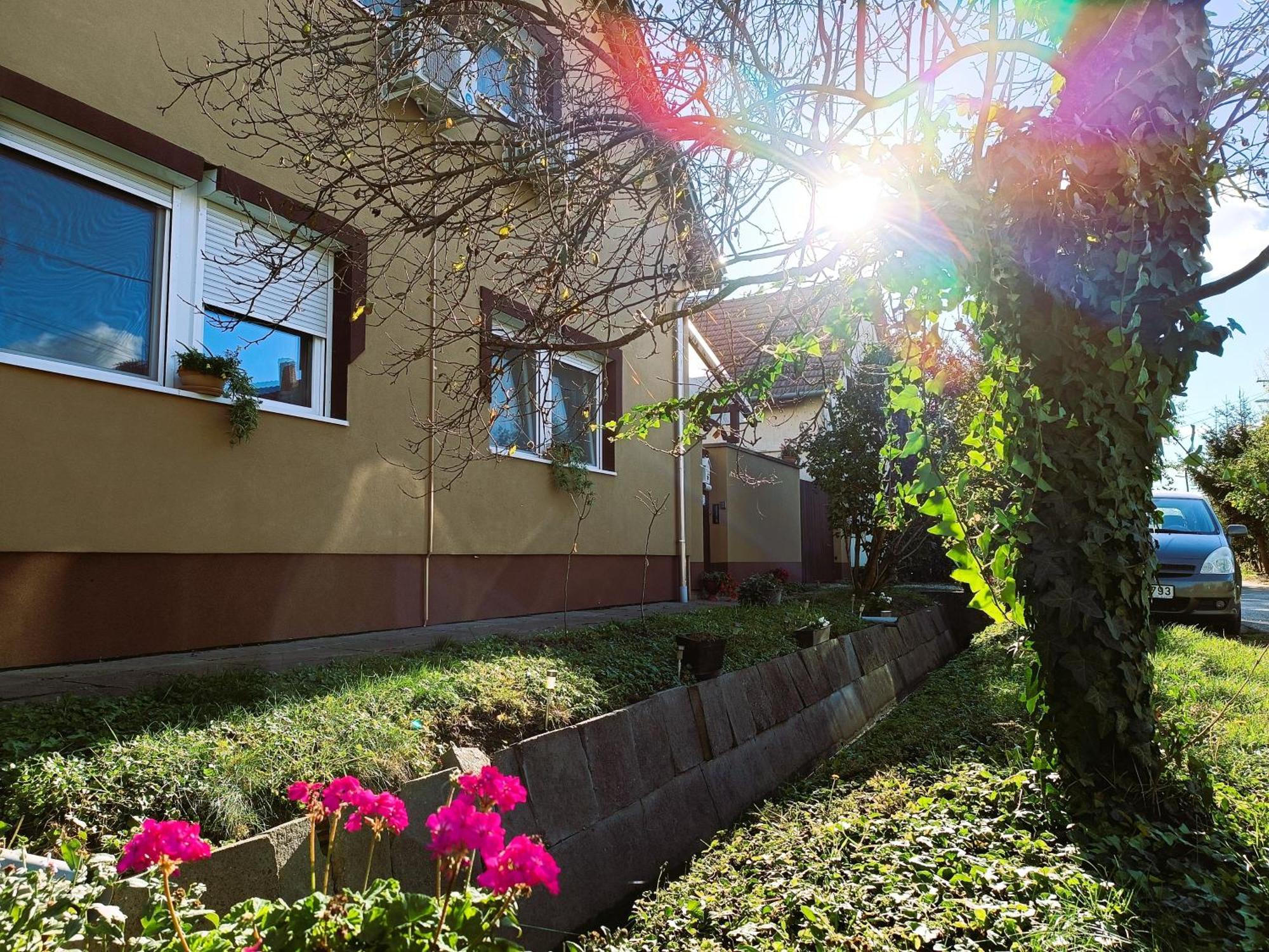 Hotel Holt-Tisza Vendeghaz Segedín Exteriér fotografie
