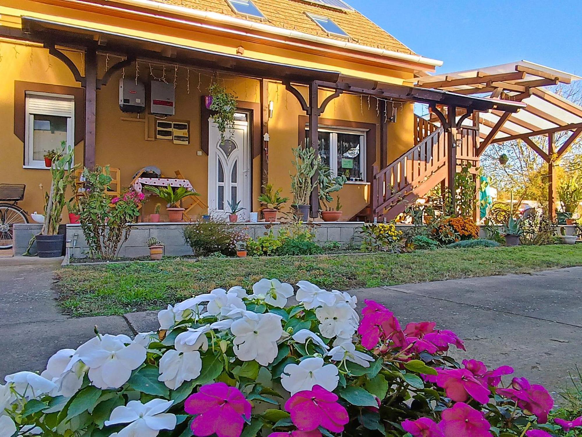 Hotel Holt-Tisza Vendeghaz Segedín Exteriér fotografie