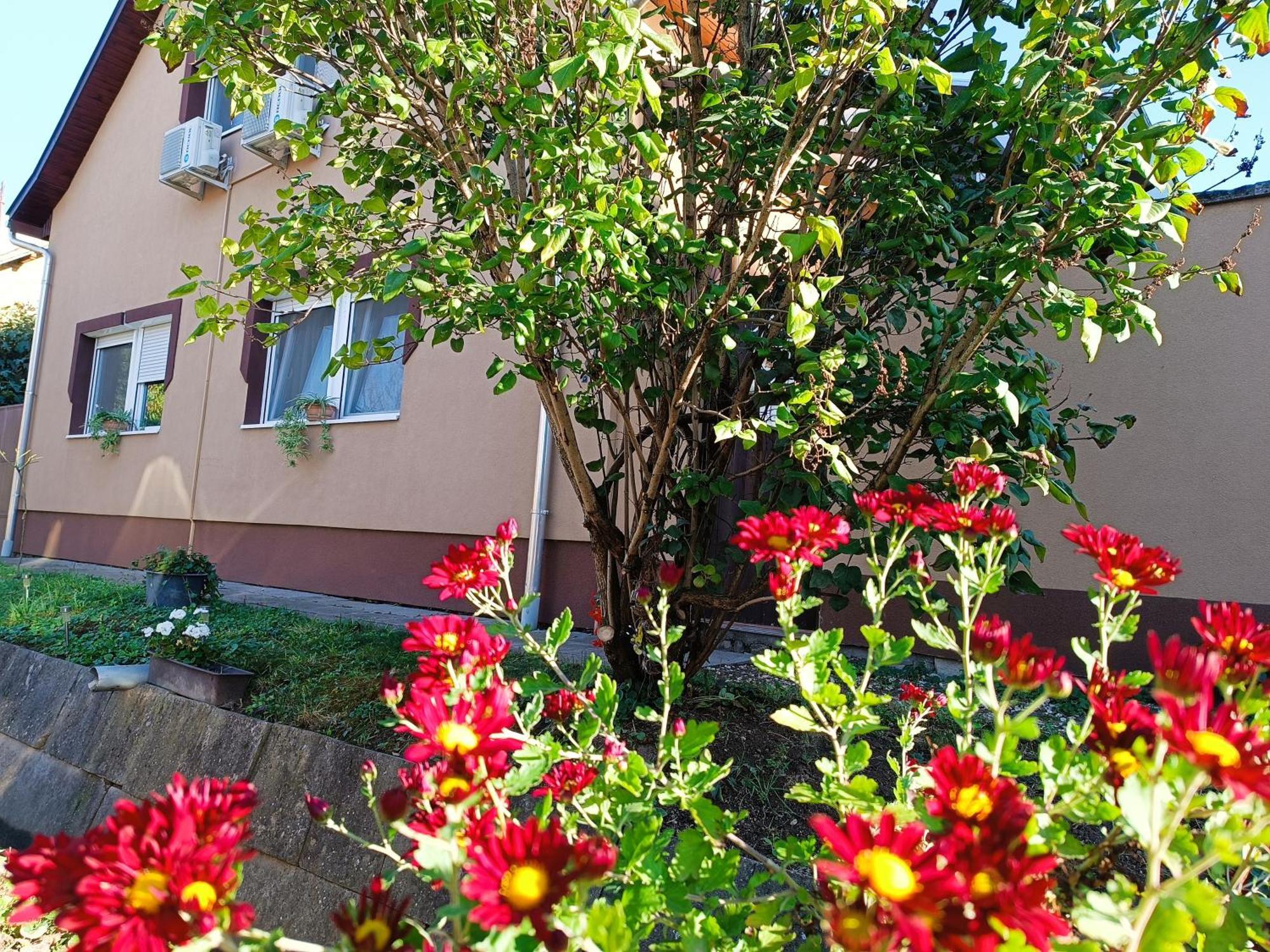 Hotel Holt-Tisza Vendeghaz Segedín Exteriér fotografie